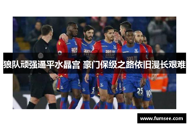 狼队顽强逼平水晶宫 豪门保级之路依旧漫长艰难